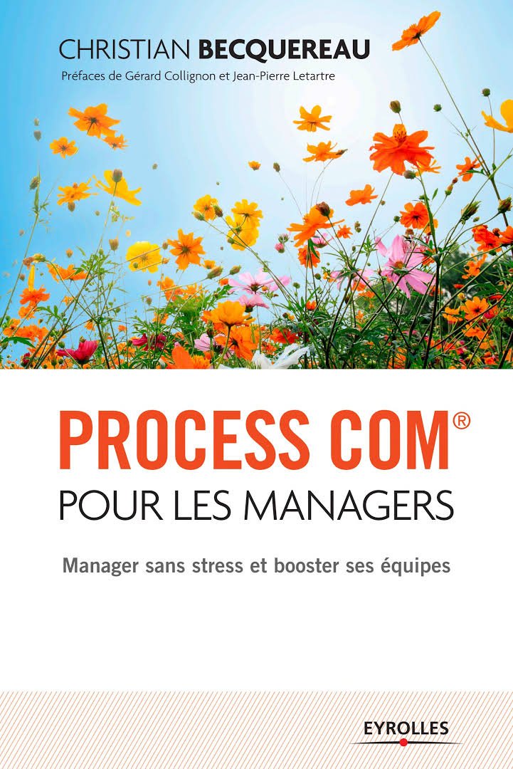 couverture livre process com